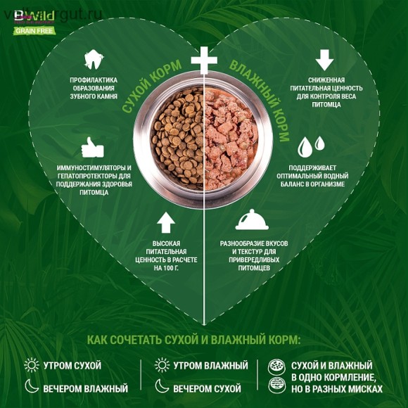 Monge Dog BWild GRAIN FREE для взрослых собак, беззерновой, из лосося с тыквой и кабачками Monge Dog BWild GRAIN FREE для взрослых собак, беззерновой, из лосося с тыквой и кабачками