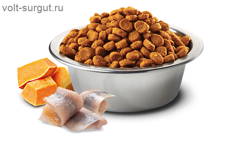 Farmina N&D Dog Ocean Pumpkin с треской, апельсином и тыквой для собак средних и крупных пород