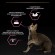 Purina Pro Plan Delicate: набор для кошек с чувствительным пищеварением