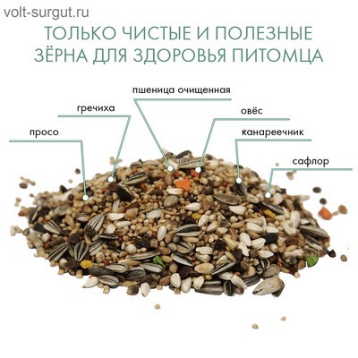 FIORY корм для средних попугаев Classic FIORY корм для средних попугаев Classic