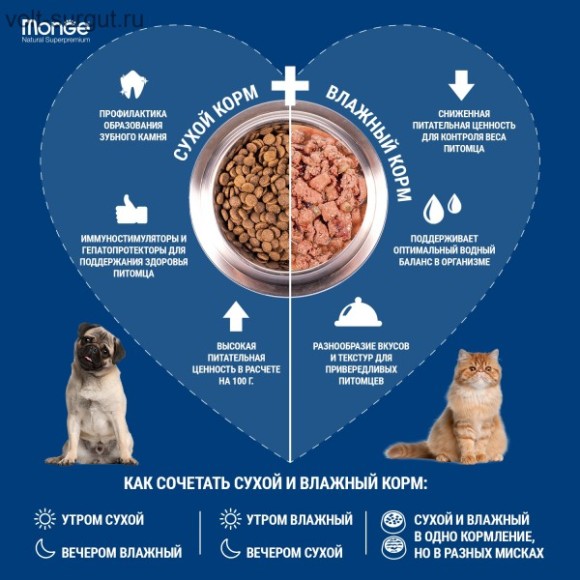 Monge Cat Speciality Line Monoprotein для котят и беременных кошек, из форели