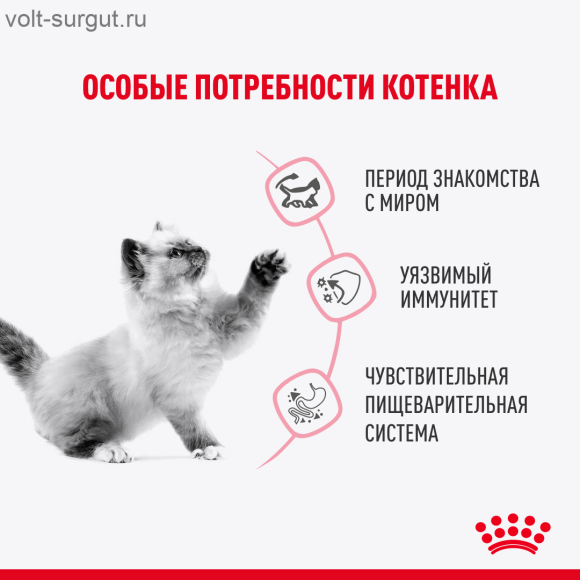 Royal Canin Kitten Sterilised (в желе) Royal Canin Kitten Sterilised (в желе)
