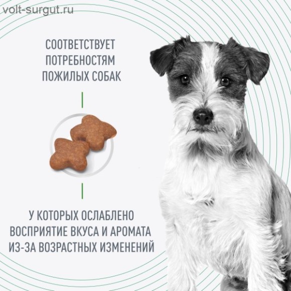 Royal Canin Mini Adult 8+ для собак малых пород (до 10кг) старше 8 лет