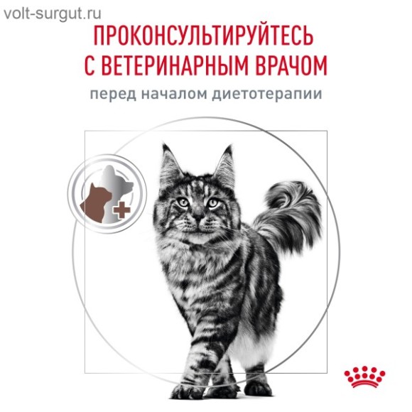 Royal Canin Gastrointestinal Hairball для кошек при нарушениях пищеварения, вызванных наличием волосяных комочков