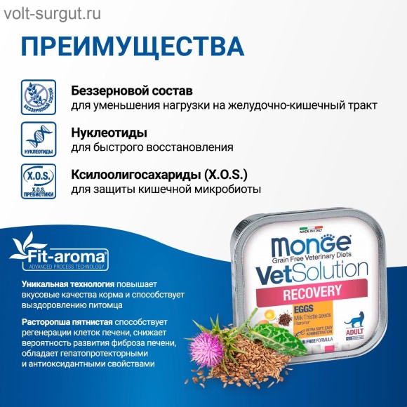 Monge VetSolution Cat Recovery Рекавери для кошек при восстановлении питания в период выздоровления
