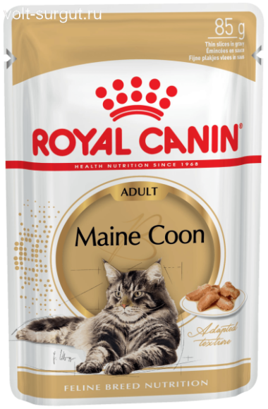 Royal Canin Maine Coon adult (в соусе) Royal Canin Maine Coon adult (в соусе)