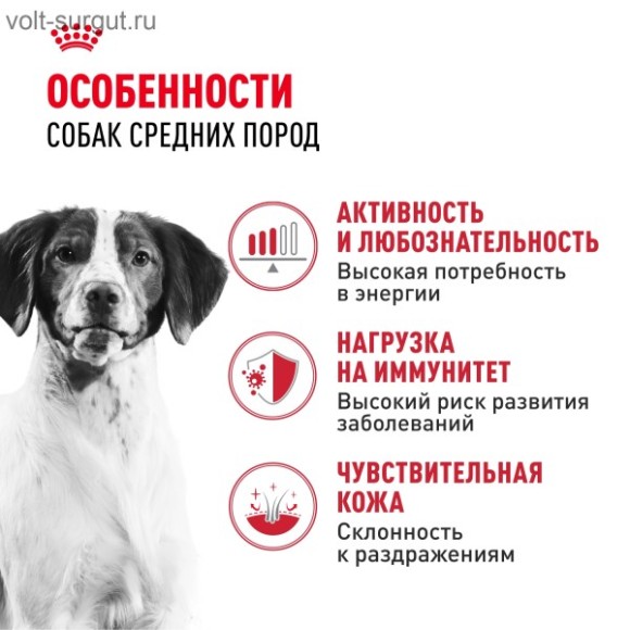 Royal Canin Medium Adult для собак средних пород (11-25кг) с 1 до 7 лет