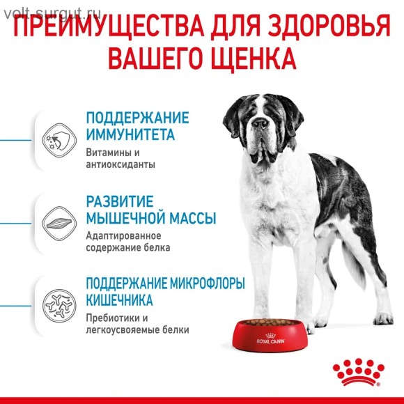 Royal Canin Giant Junior для щенков гиганских пород с 8 до 18/24 месяцев