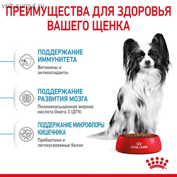 Royal Canin X-Small Puppy для щенков карликовых пород Royal Canin X-Small Puppy для щенков карликовых пород