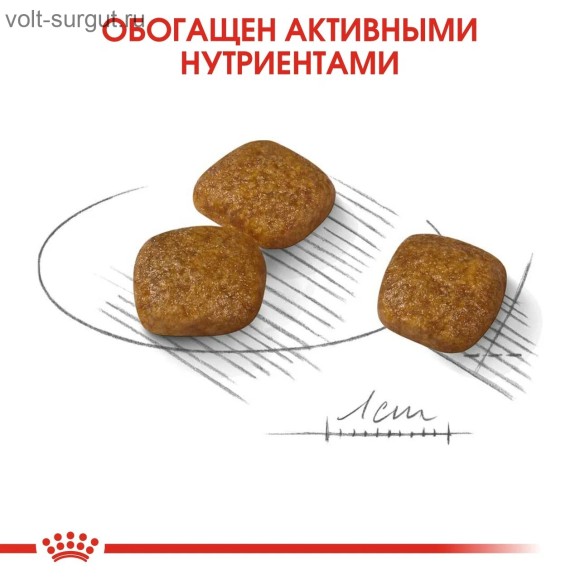 Royal Canin Mini Urinary Care для собак малых пород с чувствительной мочевыделительной системой