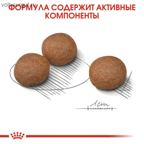 Royal Canin Medium Digestive Care для собак средних пород с чувствительным пищеварением
