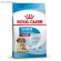 Royal Canin Medium Starter для щенков средних пород до 2-х месяцев, беременных и кормящих сук Royal Canin Medium Starter для щенков средних пород до 2-х месяцев, беременных и кормящих сук