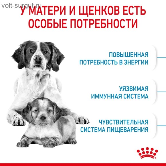 Royal Canin Medium Starter для щенков средних пород до 2-х месяцев, беременных и кормящих сук Royal Canin Medium Starter для щенков средних пород до 2-х месяцев, беременных и кормящих сук