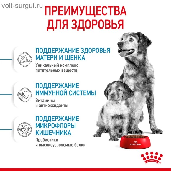 Royal Canin Medium Starter для щенков средних пород до 2-х месяцев, беременных и кормящих сук Royal Canin Medium Starter для щенков средних пород до 2-х месяцев, беременных и кормящих сук