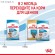 Royal Canin Medium Starter для щенков средних пород до 2-х месяцев, беременных и кормящих сук Royal Canin Medium Starter для щенков средних пород до 2-х месяцев, беременных и кормящих сук