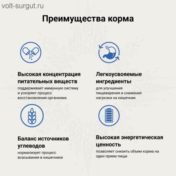 CRAFTIA GALENA CAT RECOVERY&CONVALESCENCE CARE д/кошек поддерж. в период восстановления/реабилитации