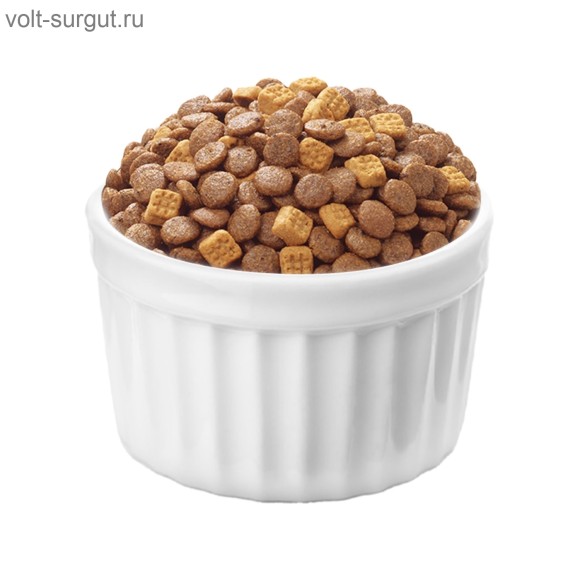 Wanpy Cat Сухой беззерновой корм для котят с курицей