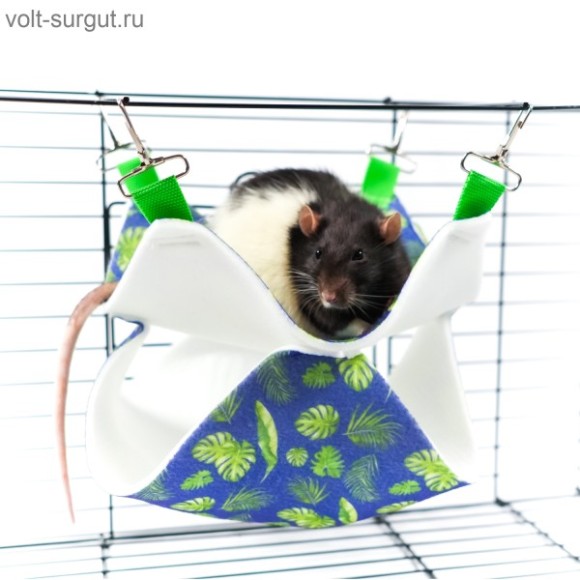 Bambini Pets Гамак подвесной из фетра для грызунов и хорьков "Двухуровневый" 23*23*6 см Bambini Pets Гамак подвесной из фетра для грызунов и хорьков "Двухуровневый" 23*23*6 см