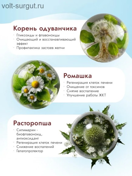 Best Dinner Vet Profi Hepatic для взрослых собак при заболеваниях печени