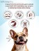 Best Dinner Vet Profi Hepatic для взрослых собак при заболеваниях печени