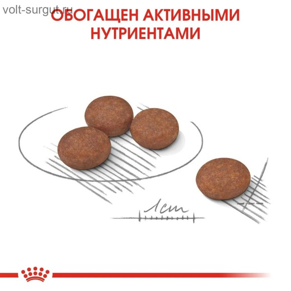 Royal Canin Mini Digestive Care для собак малых пород с чувствительным пищеварением