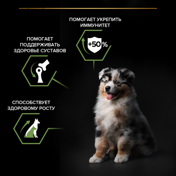 Pro Plan Dog для щенков собак средних пород, с Курицей Pro Plan Dog для щенков собак средних пород, с Курицей