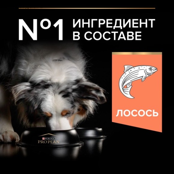 Pro Plan Dog для взрослых собак средних пород с чувствительной кожей, с Лососем Pro Plan Dog для взрослых собак средних пород с чувствительной кожей, с Лососем