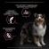Pro Plan Dog для взрослых собак средних пород с чувствительной кожей, с Лососем Pro Plan Dog для взрослых собак средних пород с чувствительной кожей, с Лососем