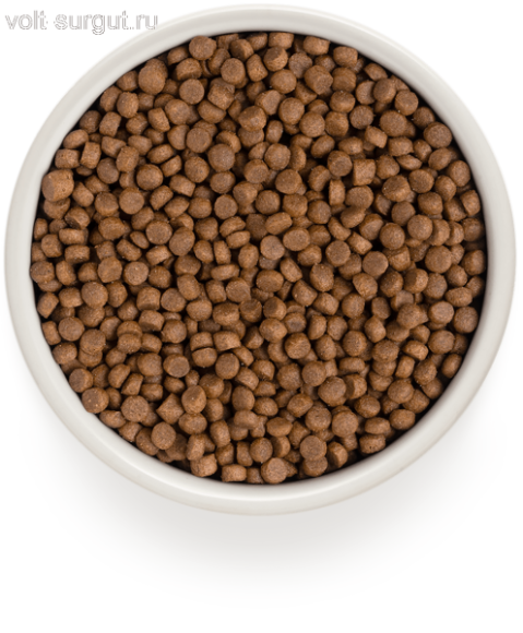 Grandorf Indoor 4 вида Мяса для взрослых кошек от 1 года с нормальной активностью Grandorf Indoor 4 вида Мяса для взрослых кошек от 1 года с нормальной активностью