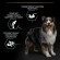 Pro Plan Dog для взрослых собак средних пород с чувствительным пищеварением, с Ягненком Pro Plan Dog для взрослых собак средних пород с чувствительным пищеварением, с Ягненком
