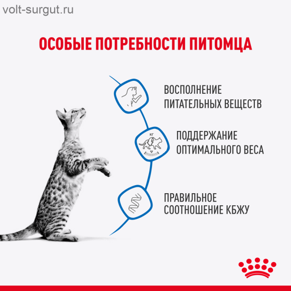 Royal Canin Indoor Sterilized (в соусе) Royal Canin Indoor Sterilized (в соусе)