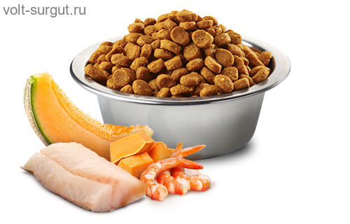 Farmina N&D Cat Ocean беззерновой корм для котят Треска, креветка, тыква и мускусная дыня