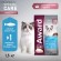 AWARD SPECIAL CARE Sensitive Skin&Coat для взрослых кошек для здоровой кожи и шерсти белой рыбой