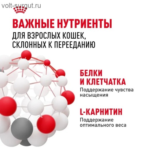Royal Canin Appetite Control Care влажный корм для кошек, контроль выпрашивания корма (желе) Royal Canin Appetite Control Care влажный корм для кошек, контроль выпрашивания корма (желе)