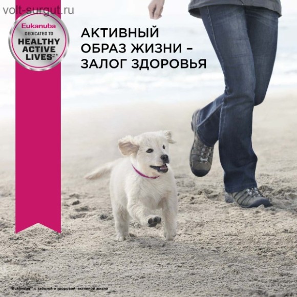 Eukanuba для щенков мелких пород Eukanuba для щенков мелких пород