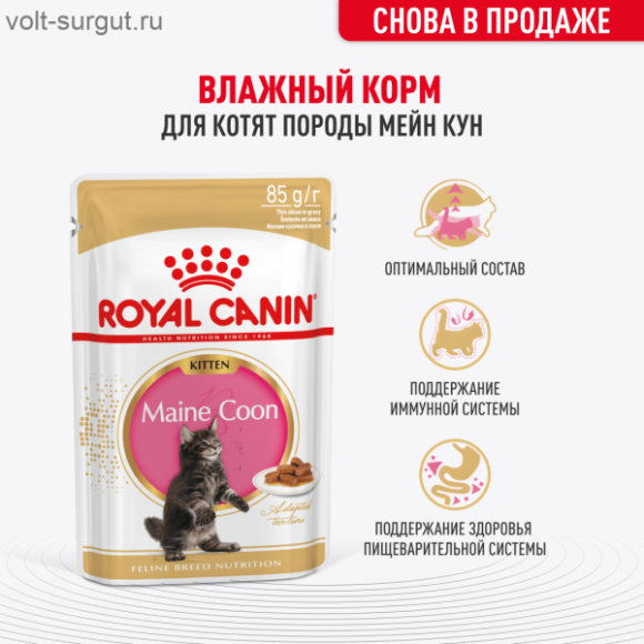Royal Canin Maine Coon Kitten (в соусе)