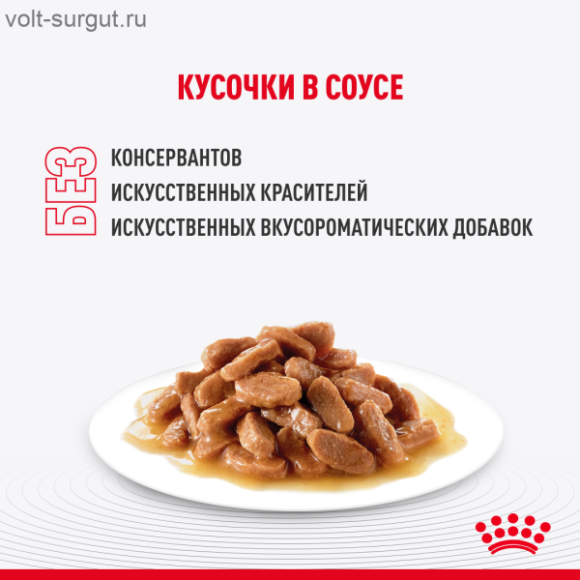 Royal Canin Maine Coon Kitten (в соусе)