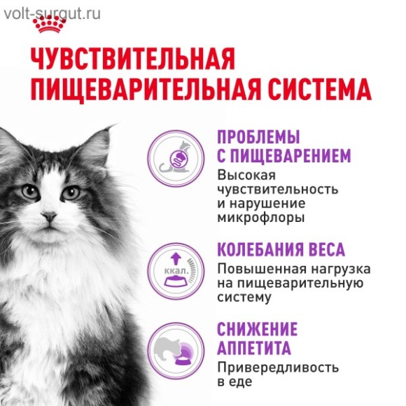 Royal Canin Sensible для кошек с чувствительным пищеварением
