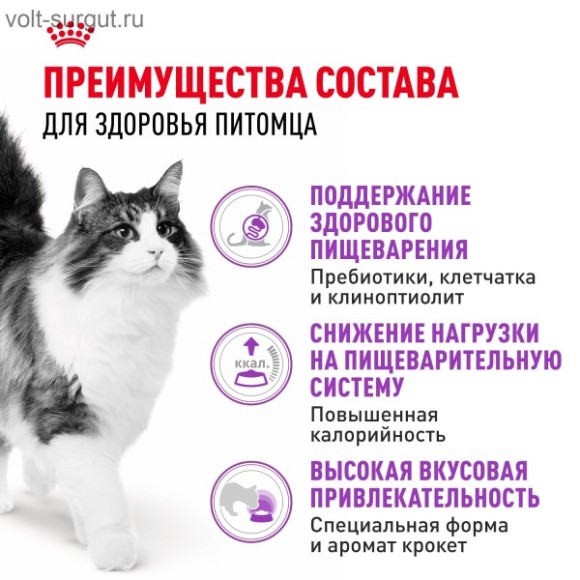Royal Canin Sensible для кошек с чувствительным пищеварением