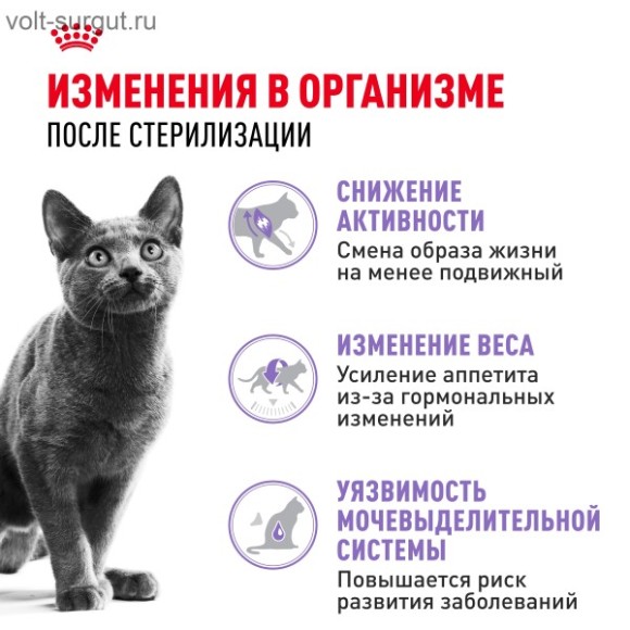 Royal Canin Sterilised для стерилизованных кошек и котов с 1 до 7 лет