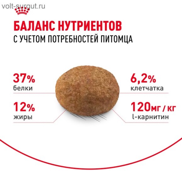 Royal Canin Sterilised для стерилизованных кошек и котов с 1 до 7 лет