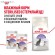 Royal Canin Sterilised для стерилизованных кошек и котов с 1 до 7 лет