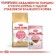 Royal Canin Sphynx Kitten для котят породы сфинкс
