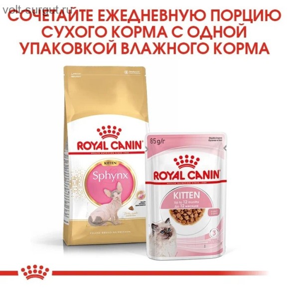 Royal Canin Sphynx Kitten для котят породы сфинкс