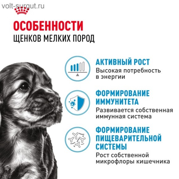 Royal Canin Mini Puppy влажный корм для щенков мелких пород до 10 месяцев, кусочки в соусе