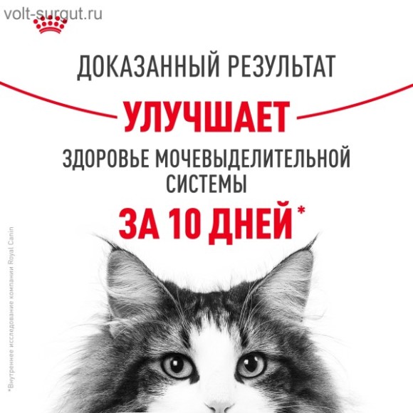 Royal Canin Urinary Care для профилактики МКБ Royal Canin Urinary Care для профилактики МКБ