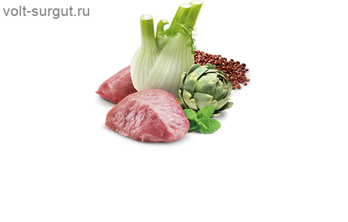 Farmina N&D Dog Quinoa Digestion ягненок и киноа, для собак всех пород для поддержания пищеварения