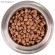 Monge Dog BWild LOW GRAIN для взрослых собак, низкозерновой, из мяса дикого кабана