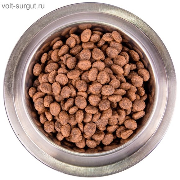 Monge Dog BWild LOW GRAIN для взрослых собак, низкозерновой, из мяса дикого кабана