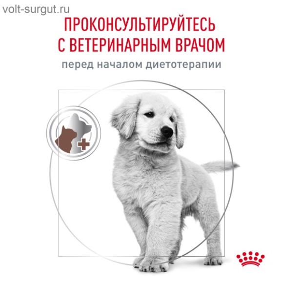 Royal Canin Gastrointestinal Puppy для щенков до 1 года при острых расстройствах пищеварения Royal Canin Gastrointestinal Puppy для щенков до 1 года при острых расстройствах пищеварения